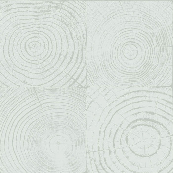 Light turquoise non-woven wallpaper, imitation wood with annual rings 347545, Matières - Wood, Origin