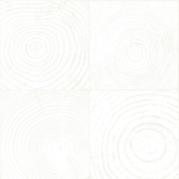 Non-woven wallpaper white, imitation wood with annual rings 347543, Matières - Wood, Origin