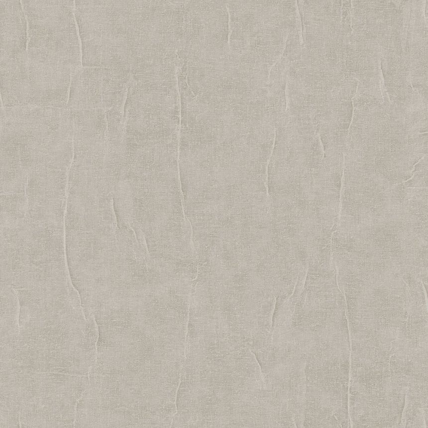 Stone Effect Wallpaper, Grey-Beige (Taupe), RE521083, Renaissance, Design ID