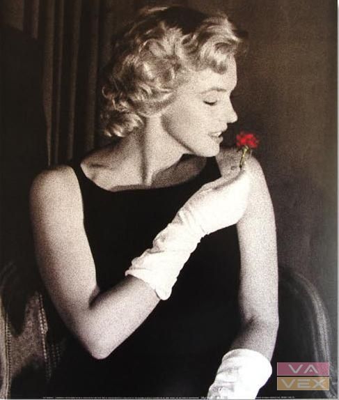 Poster 7872, Photo of Marilyn Monroe, size 60 x 50 cm