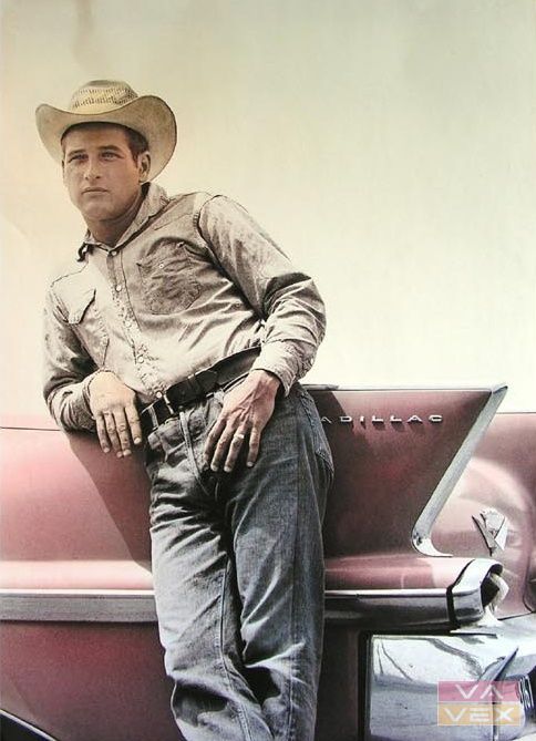 Poster 3212, Paul Newman, size 98 x 68 cm