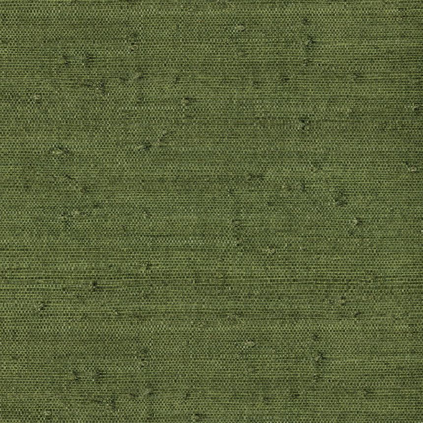 Natural green wallpaper 303514, Natural Wallcoverings III, Eijffinger