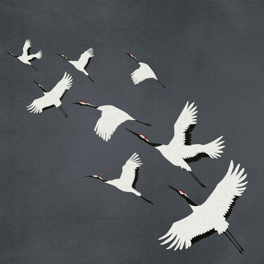 Non-woven gray wall mural birds in flight 357235, 300 x 300 cm, Natural Fabrics, Origin