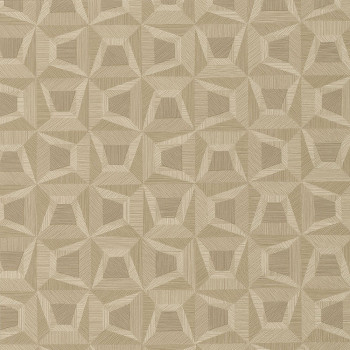 Brown non-woven geometric design wallpaper 31906, Textilia, Limonta