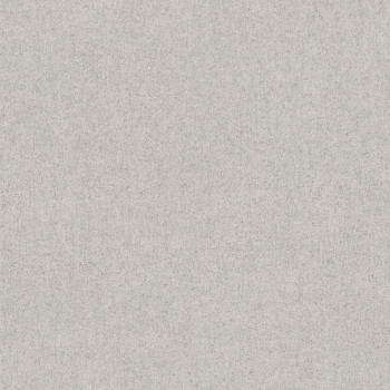 Gray-white non-woven concrete wallpaper M35629, Couleurs 2, Ugépa