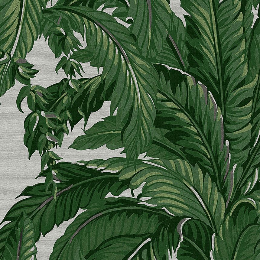 Non-woven wallpaper palm leaves 112020, Genesis, Graham & Brown