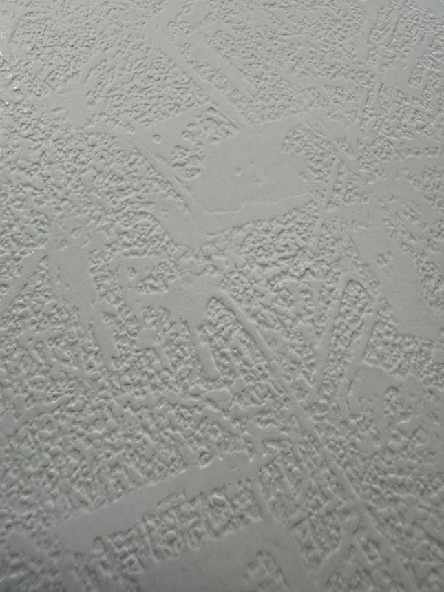 Paper wallpaper plaster imitation 2001700 Old Friends II, Vavex 2025