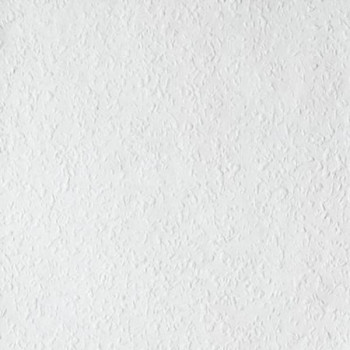 Recoatable wallpaper Pestrukta Light, wood chip wallpaper Old Friends II, Vavex 2025