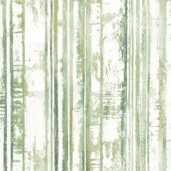 Green non-woven stripes wallpaper 229604, Premium Selection, Vavex