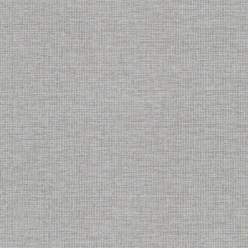 Textured gray non-woven wallpaper A47012, Vavex 2024