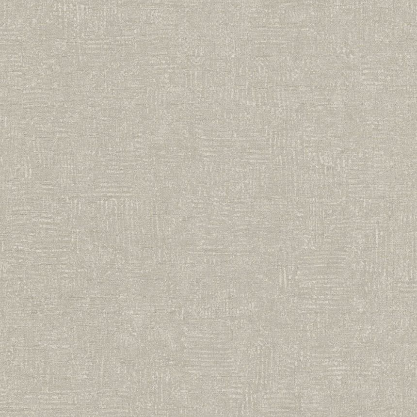 Gray, textured non-woven wallpaper A50202, Vavex 2024