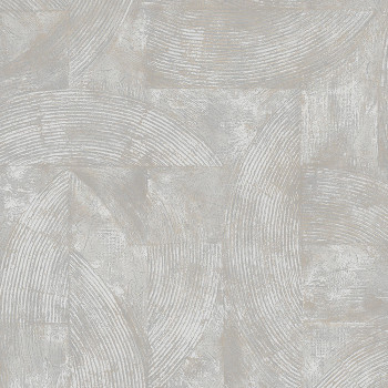 Gray non-woven stucco wallpaper A56103, Vavex 2024