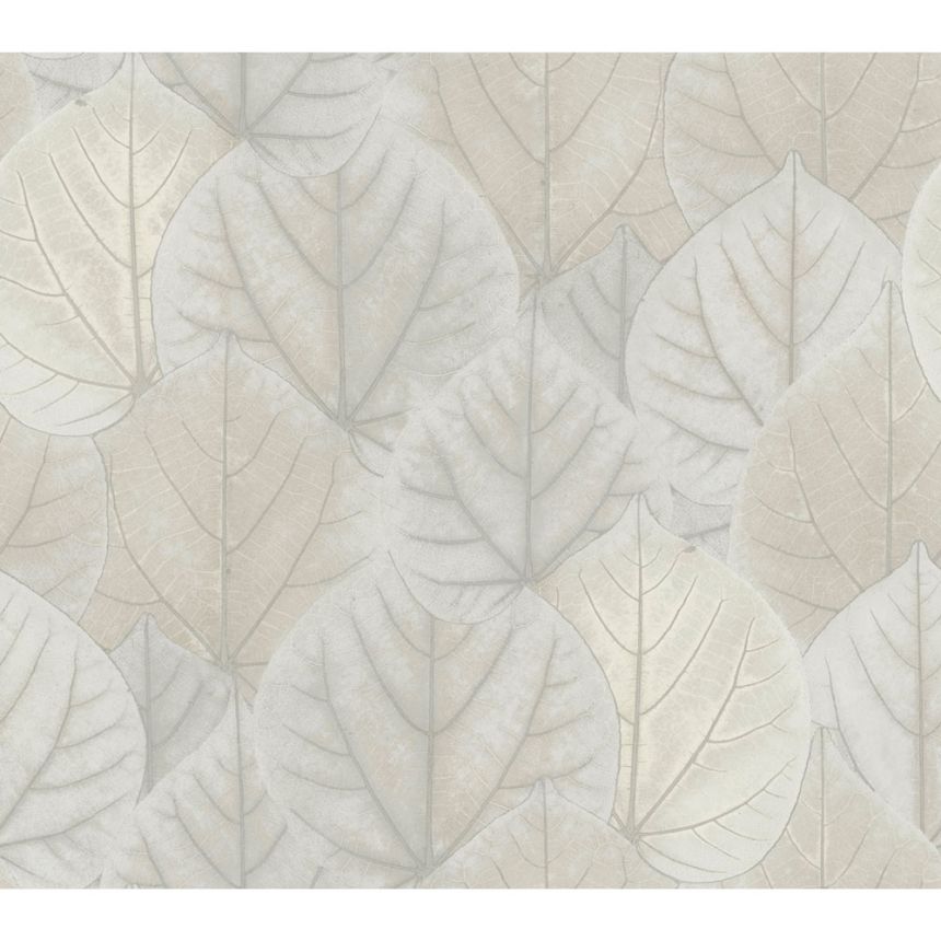 Silver-gray non-woven wallpaper, leaves OS4246, Modern Nature II, York